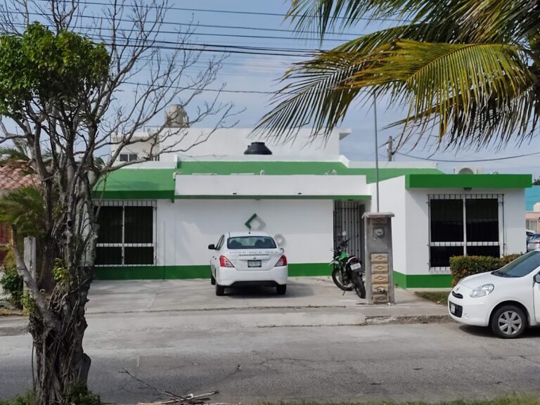 10002 liamco limpieza 768x576