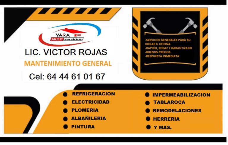 1001 vara multiservicios 768x488