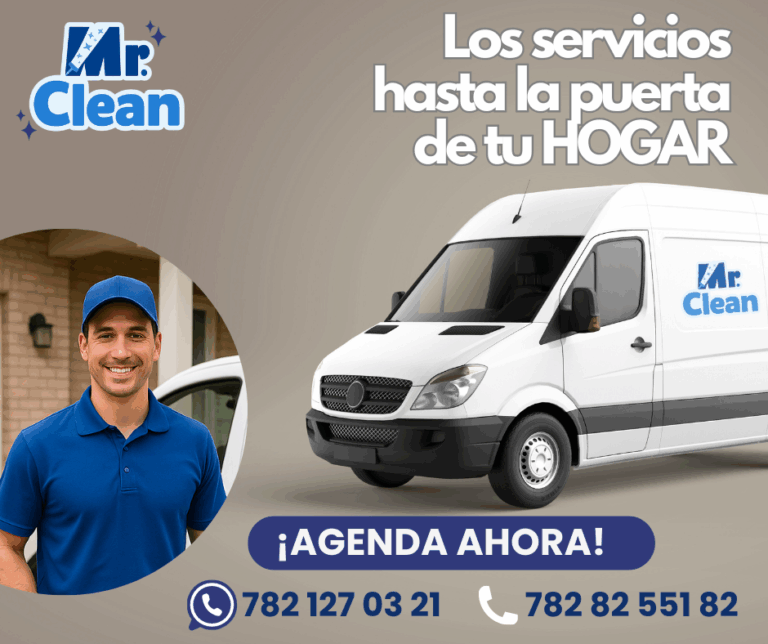 10019 mr.clean  768x644