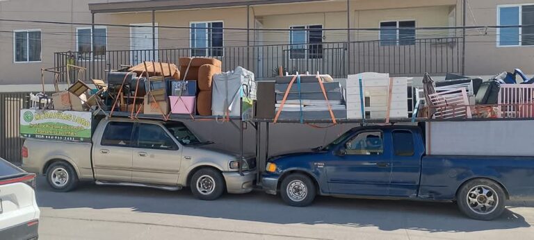 10066 mudanzas loro 768x346