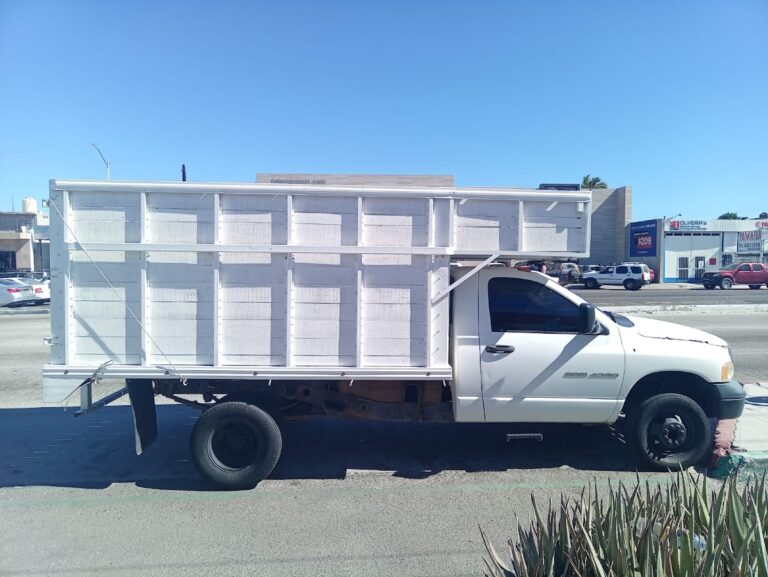 10075 fletes y mudanzas bcs 768x577