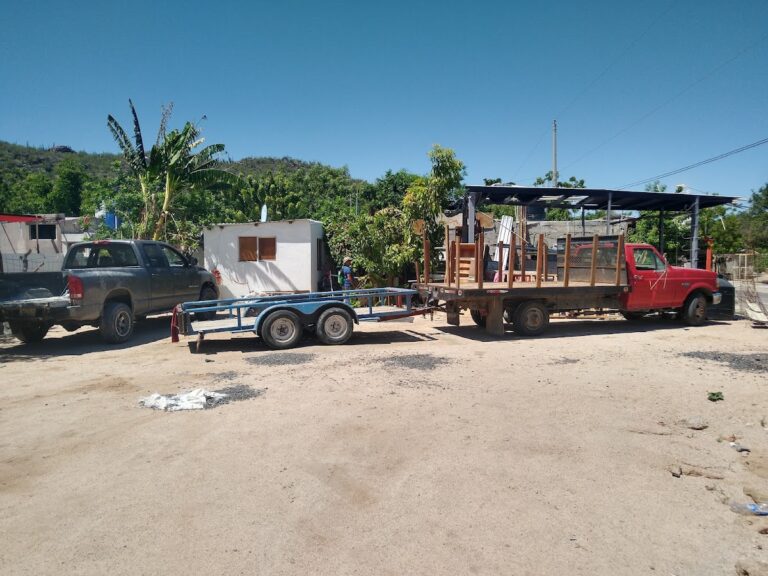 10083 fletes y mudanzas la paz cabo jardineria y mas 768x576