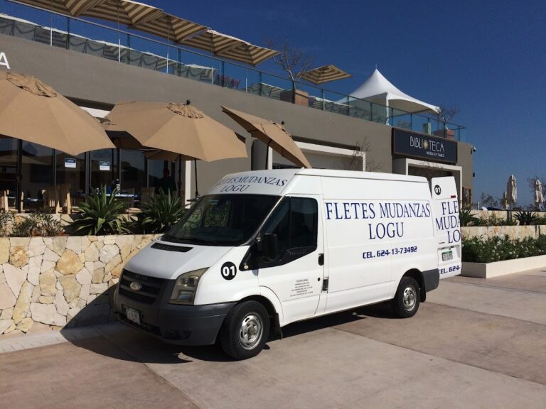 10088 fletes y mudanzas logu 768x576
