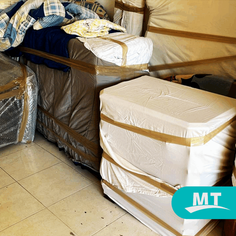 10092 mudanzas mt campeche 768x768