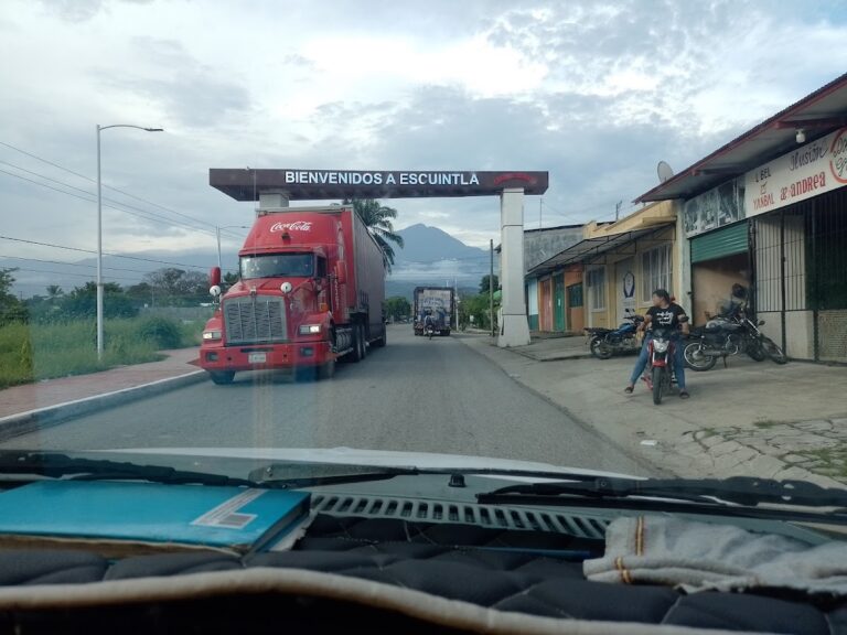 10113 mudanzas y fletes bolt 768x576