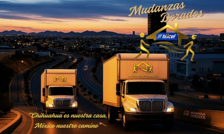 10142 mudanzas dorados 768x461
