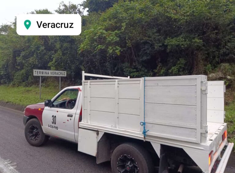 10212 mixtas fletes y mudanzas de chilpancingo 768x565