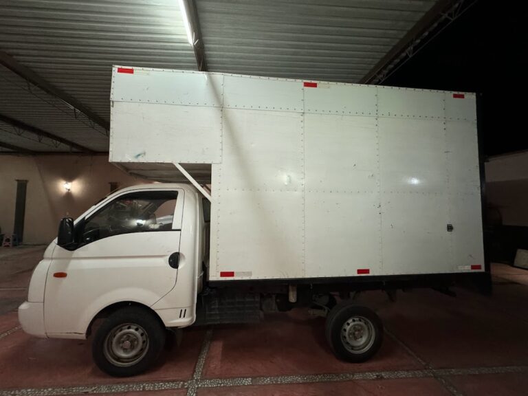 10227 servicio publico de carga 768x576