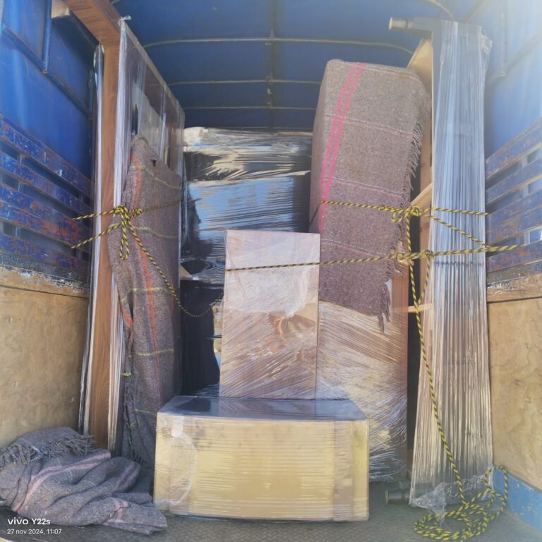 10233 fletes y mudanzas 8220torres8221 768x768