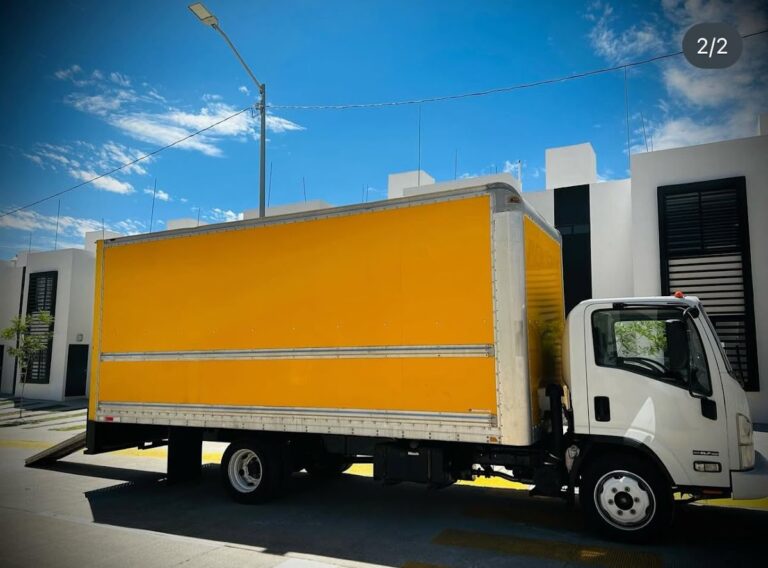 10289 fletes y mudanzas morelia 768x568