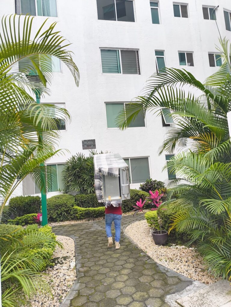 10296 fletes y mudanzas cuernavaca garcia 768x1020