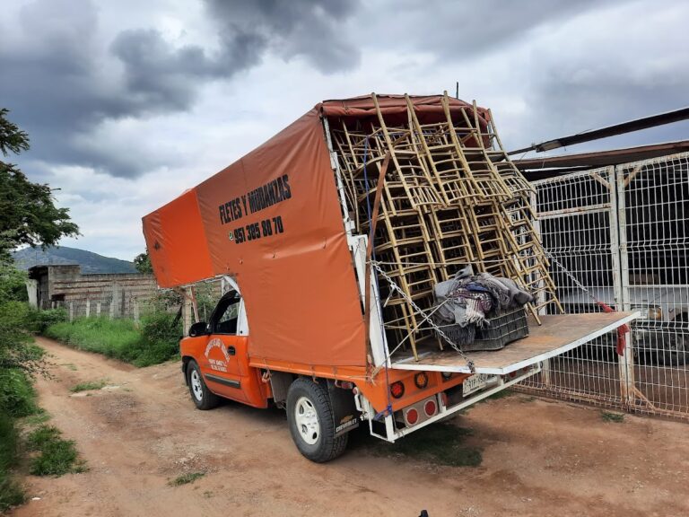 10344 fletes y mudanzas oaxaca 768x576