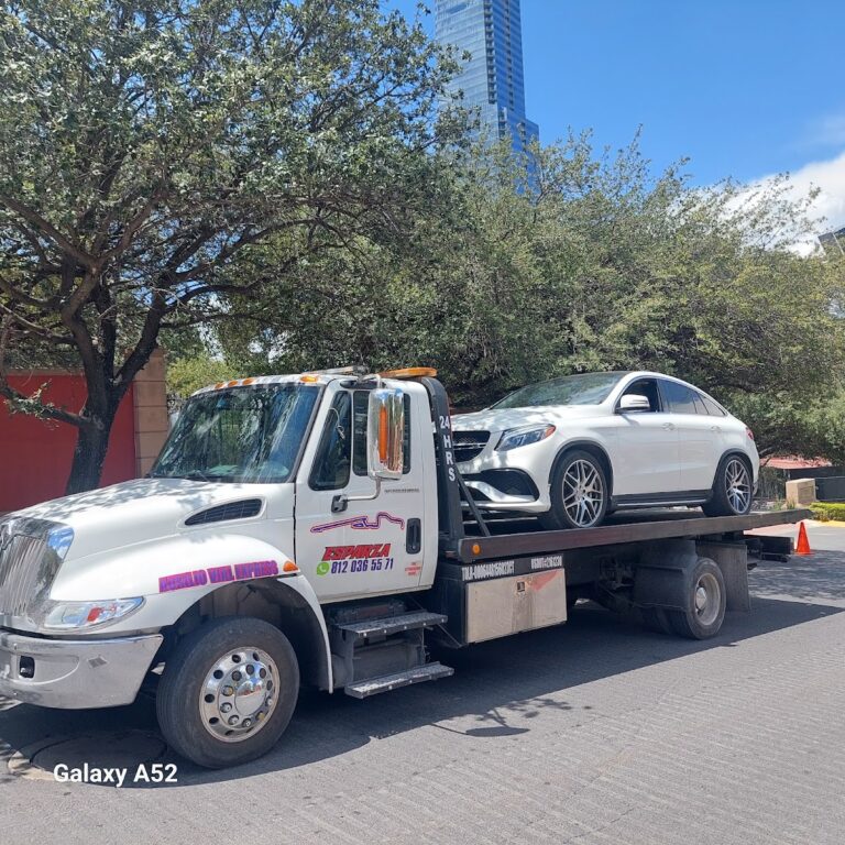 10348 mudanzas monterrey 768x768