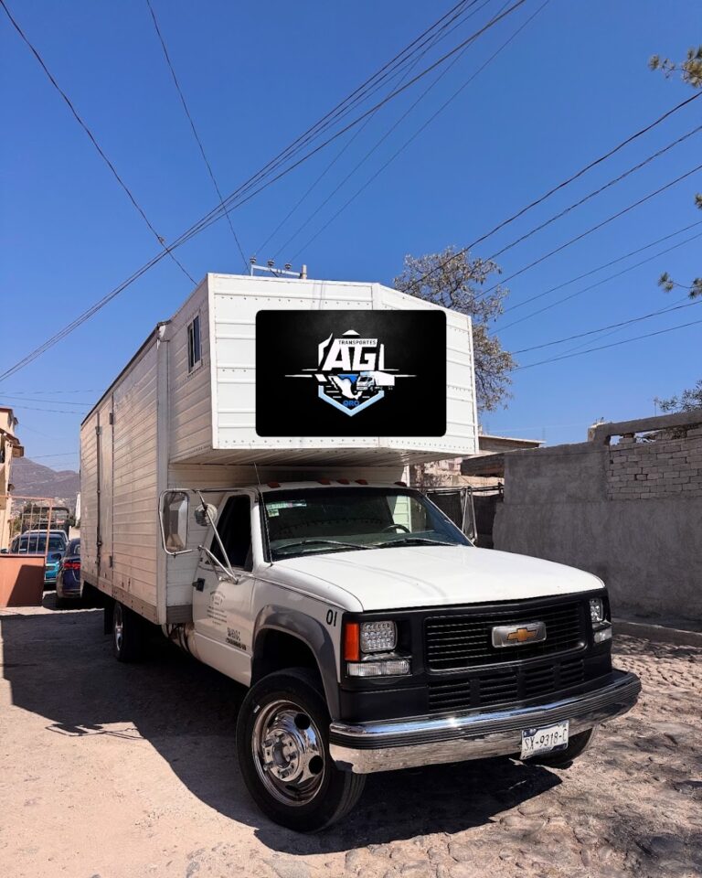 10381 mudanzas ag san juan del rio 768x960