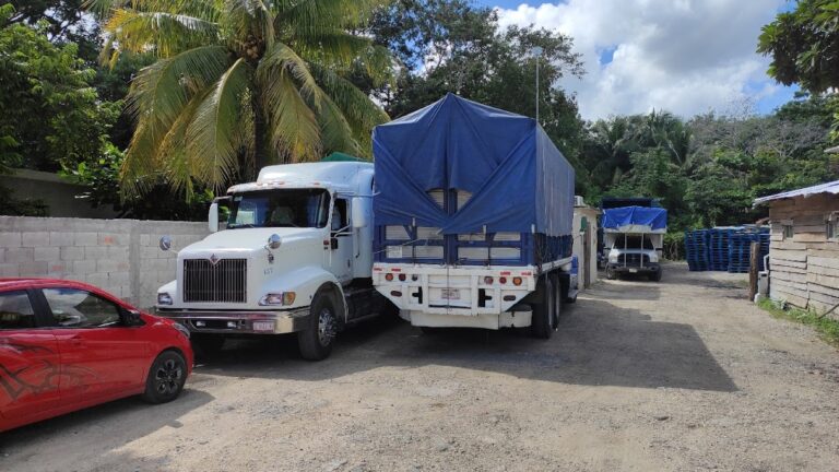 10405 fletes y mudanzas chetumal 768x432
