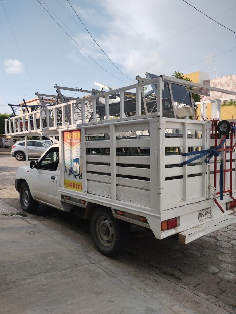 10453 fletes y mudanzas dumbo 768x1020