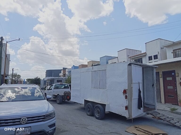 10463 fletes y mudanzas en reynosa 768x576