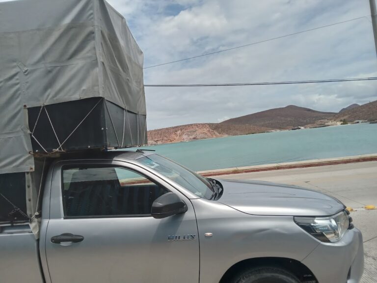 10474 mudanzas foraneas tampico 768x576