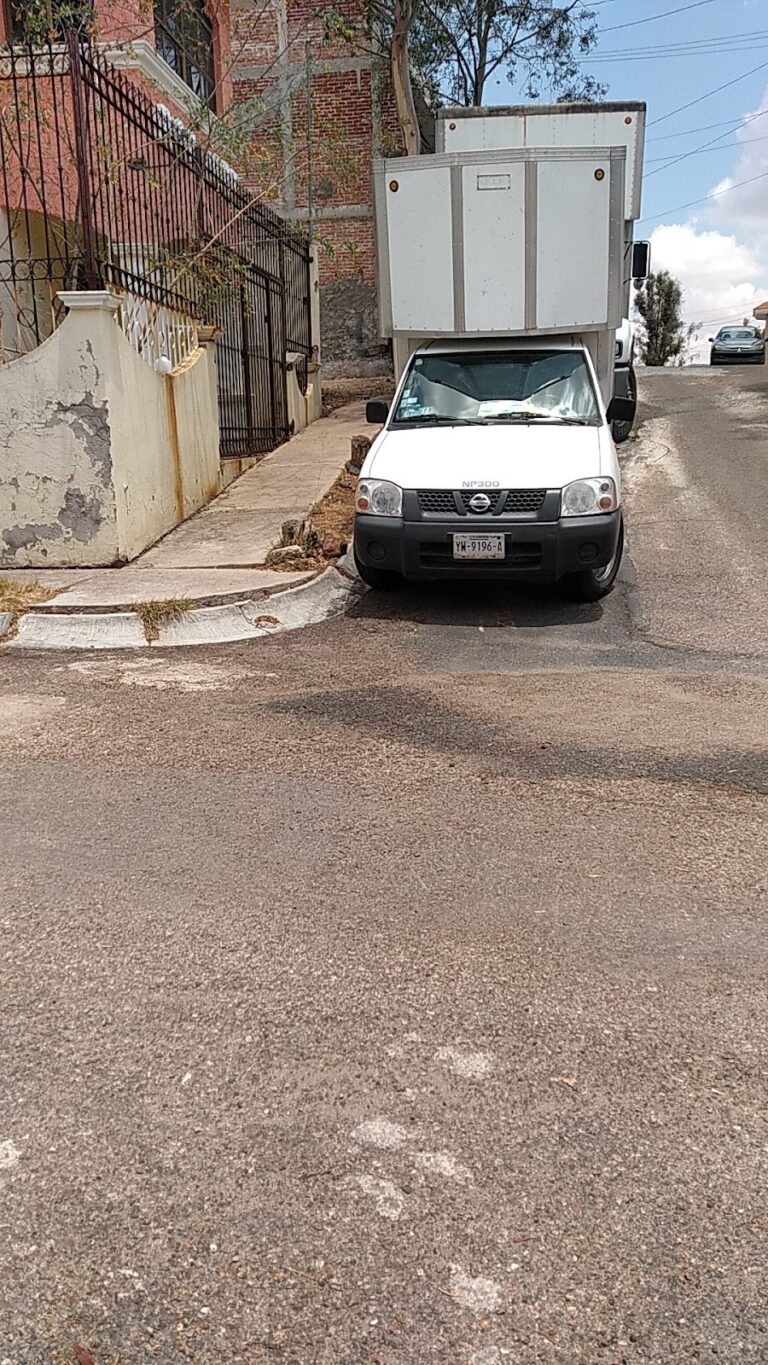 10518 fletes muebles y mudanzas zacatecas 768x1365