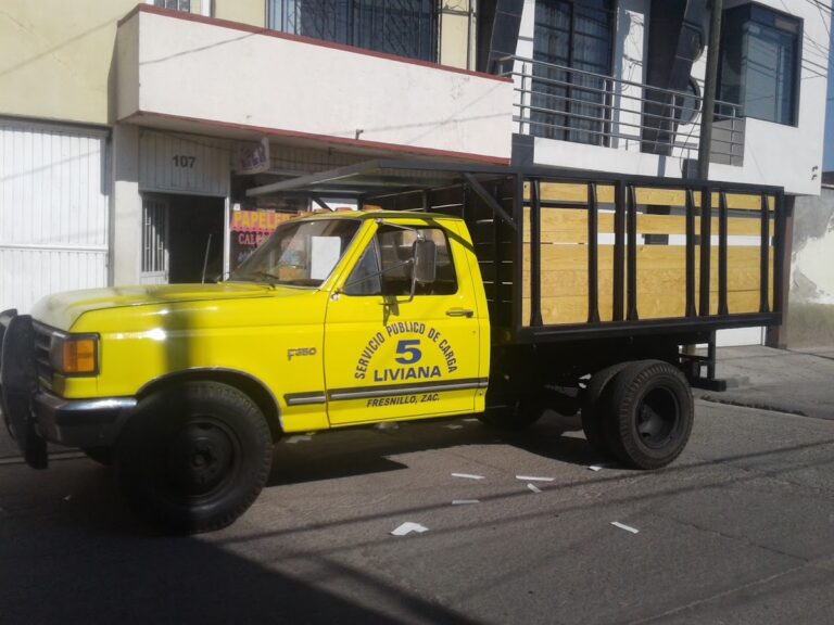 10529 servicio de carga liviana 5 768x576