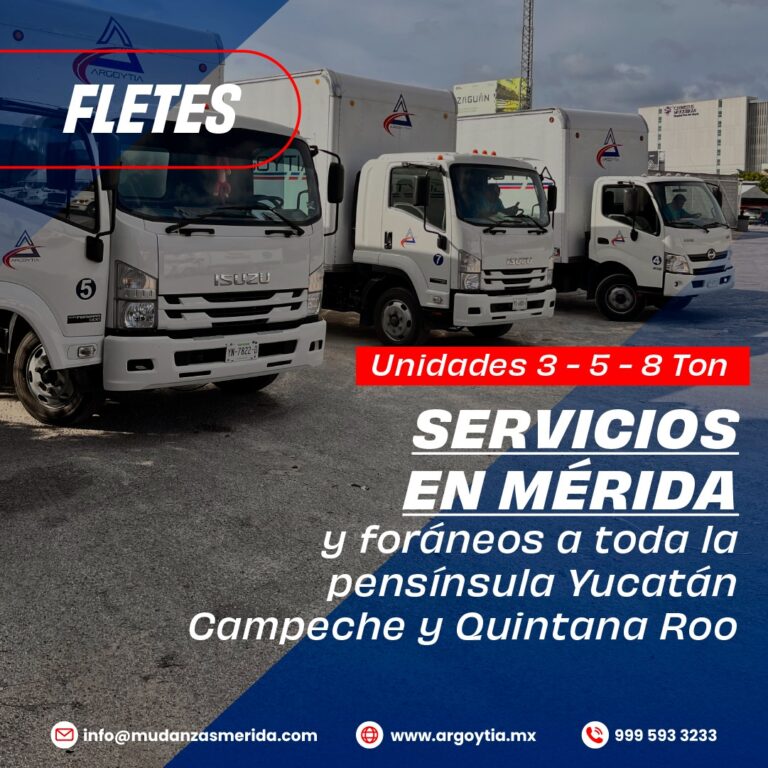 10537 fletes y mudanzas argoytia almacenaje y distribucion 768x768