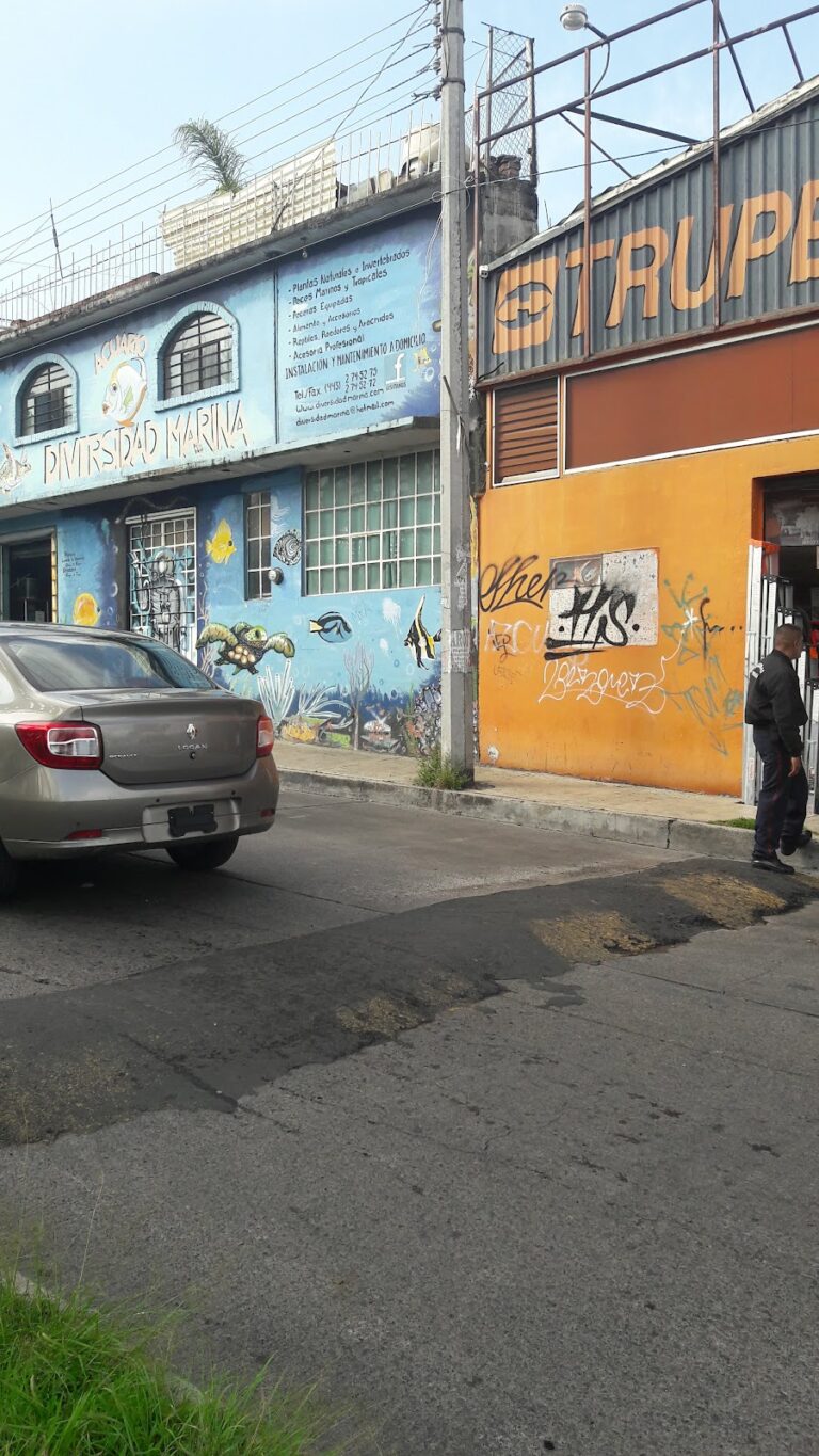 10811 centro de servicio autorizado truper 768x1365