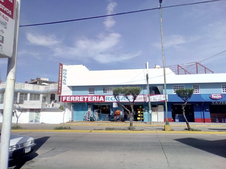 10994 ferreteria rosas coatzacoalcos 768x576