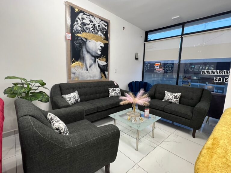 11065 muebleria central suc tapachula 768x576