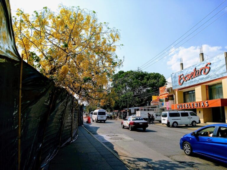 11185 muebleria excelaris 768x576