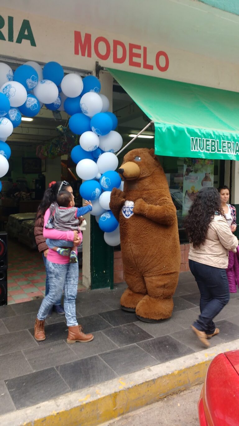 11200 muebleria modelo tulancingo centro 768x1365