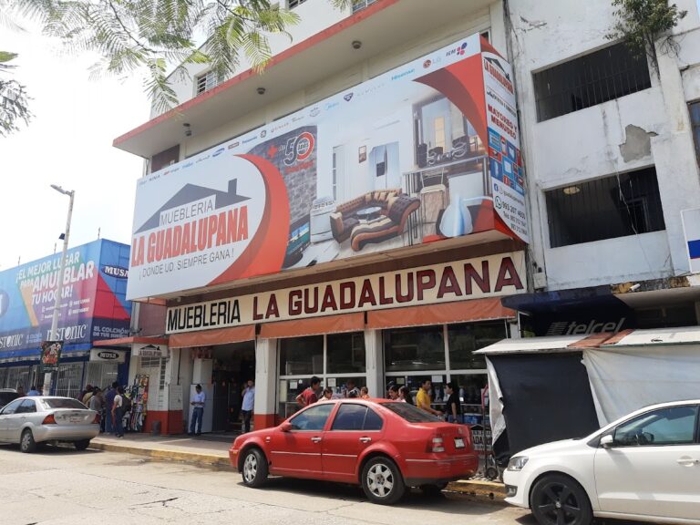 11459 la guadalupana de villahermosa s.a 768x576