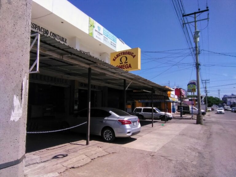 11926 electronica omega 768x576