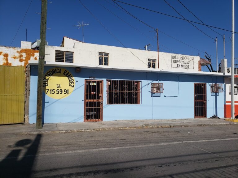 11960 electronica ramirez 768x576