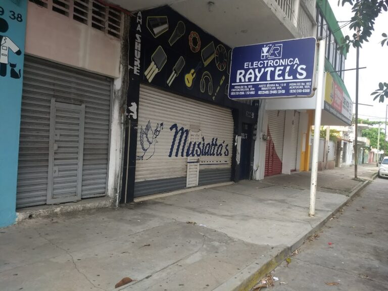 11992 electronica raytels 768x576