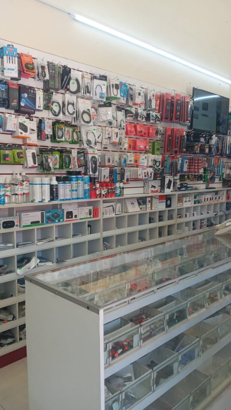 12068 electronica gonzalez 768x1365