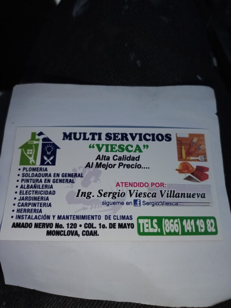 1229 multi servicios viesca 768x1024