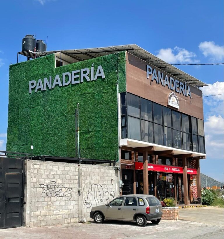 12429 panaderia la espiga ideal 768x821