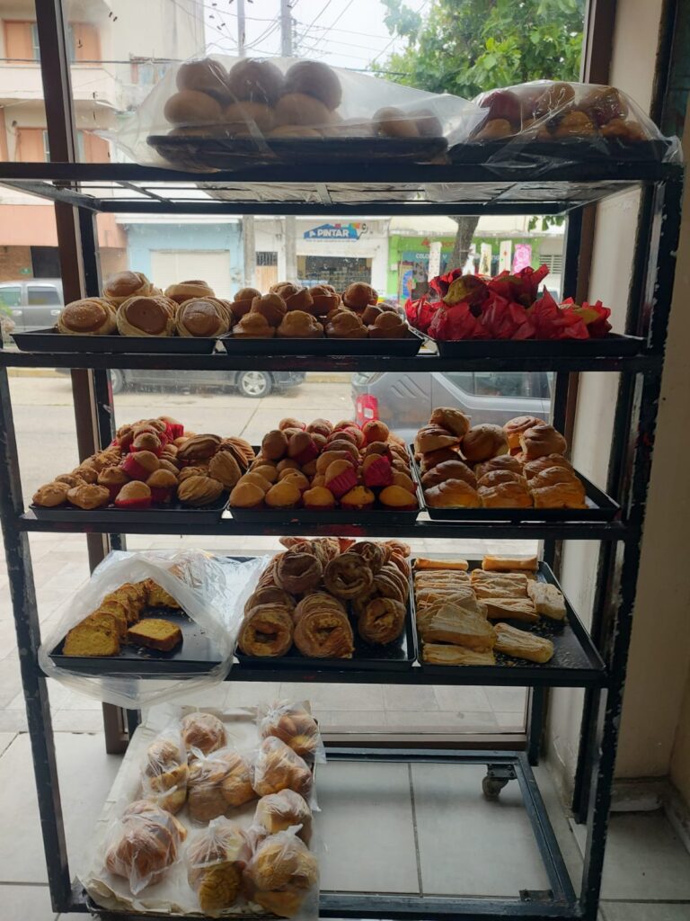 12513 la pane 768x1024