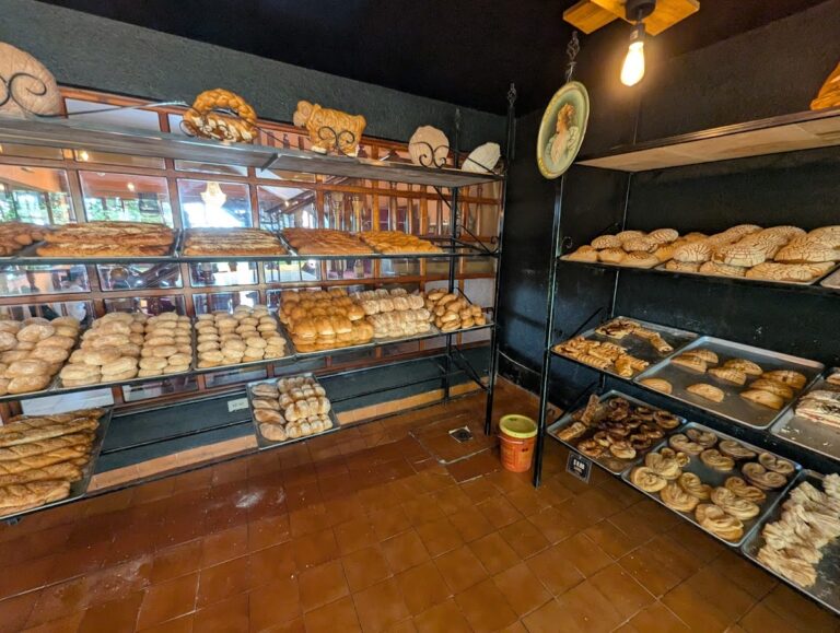 12537 la casa del pan 768x579