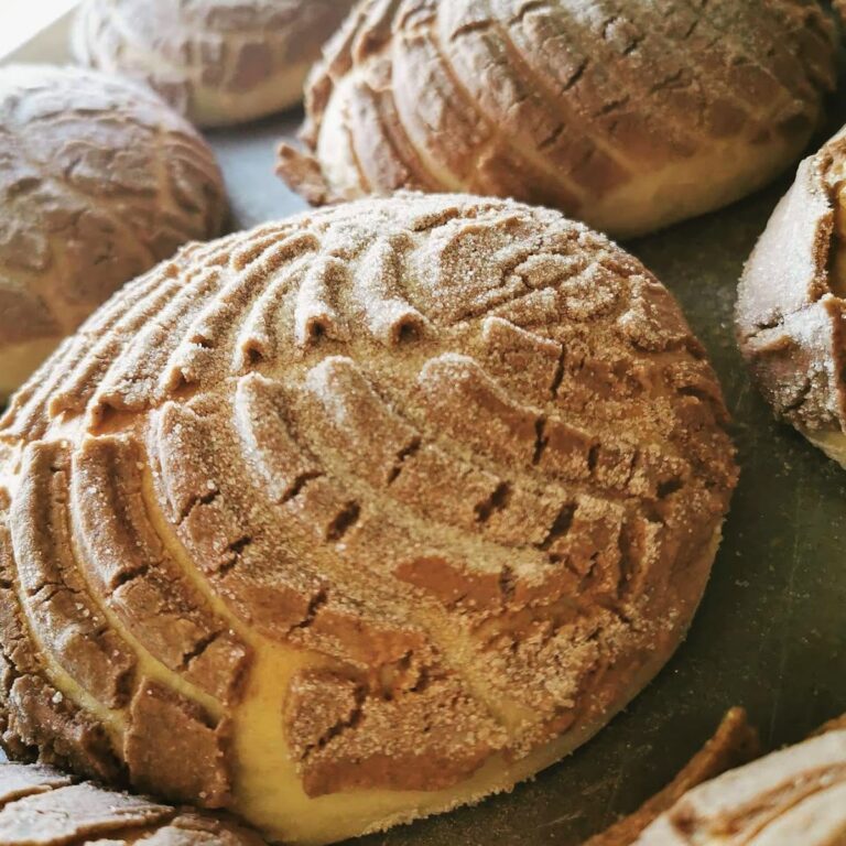 12573 panaderia la bufa 768x768