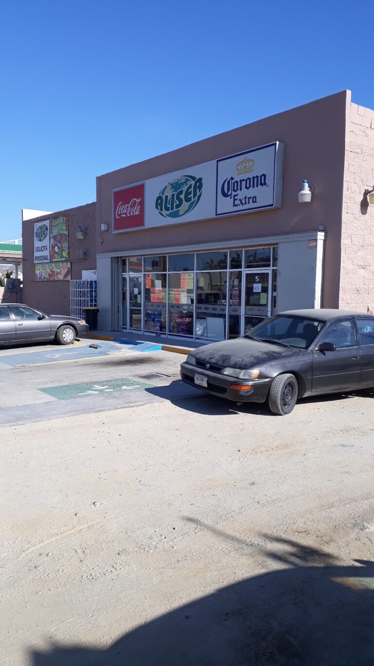 12603 aliser carniceria 768x1365