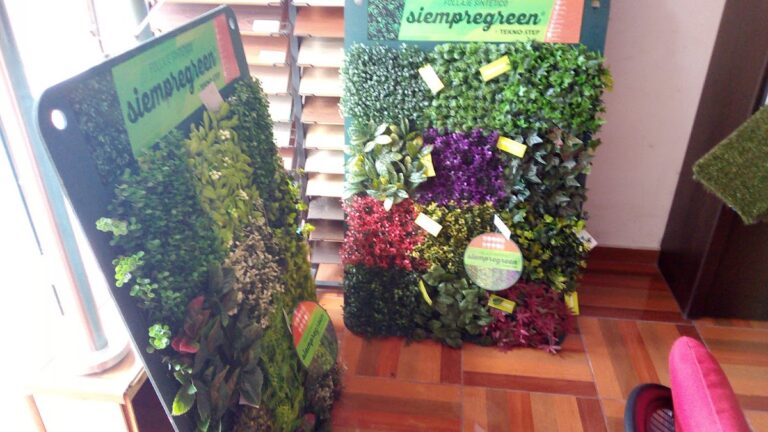 12725 carniceria panuco 768x432