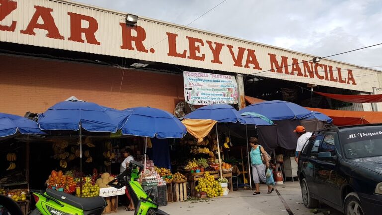 12744 mercado central 8220baltazar r. leyva macilla8221 768x432