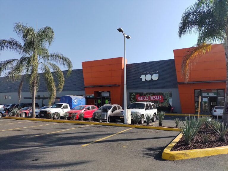 12761 carniceria el 100 768x576