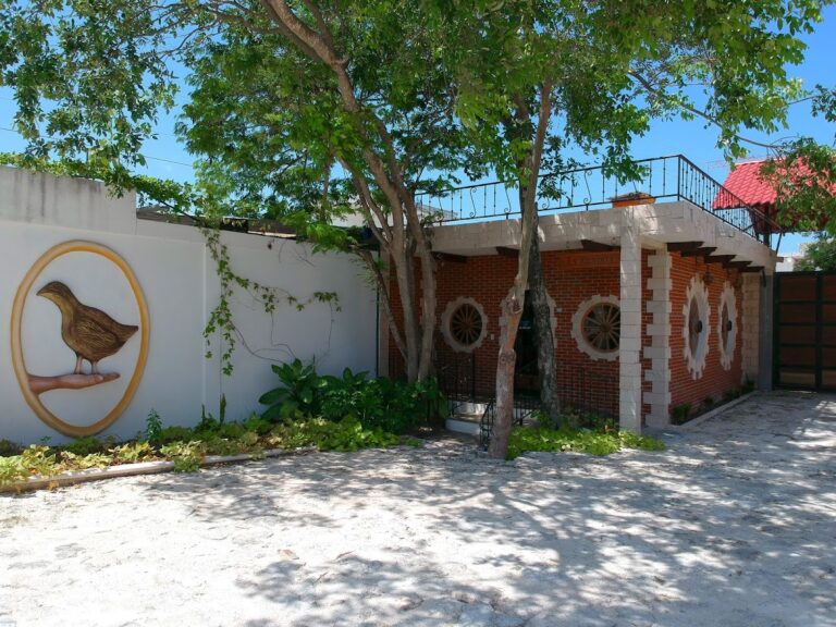 12925 la tiendita boutique de carnes 768x576