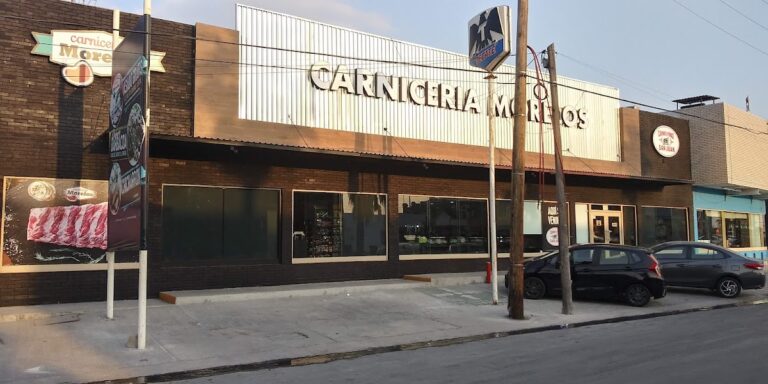12994 carniceria morelos 768x384