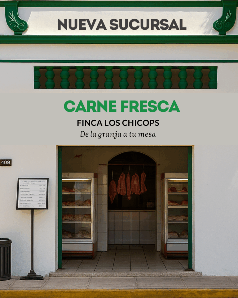 13079 carnes y cortes finos valladolid 768x960