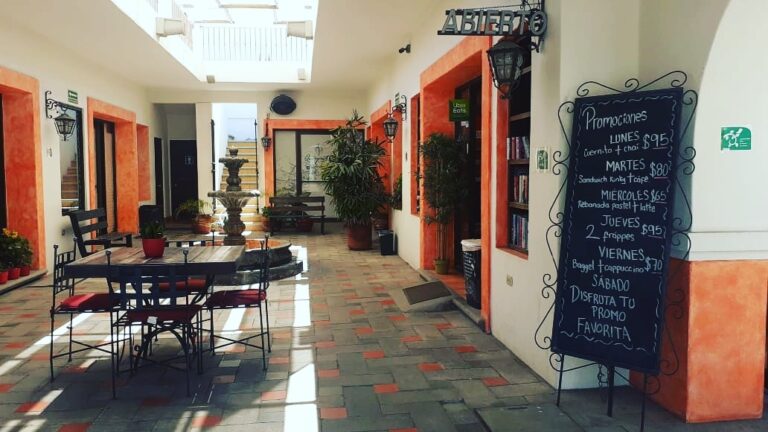 13115 cafe cabo 768x432