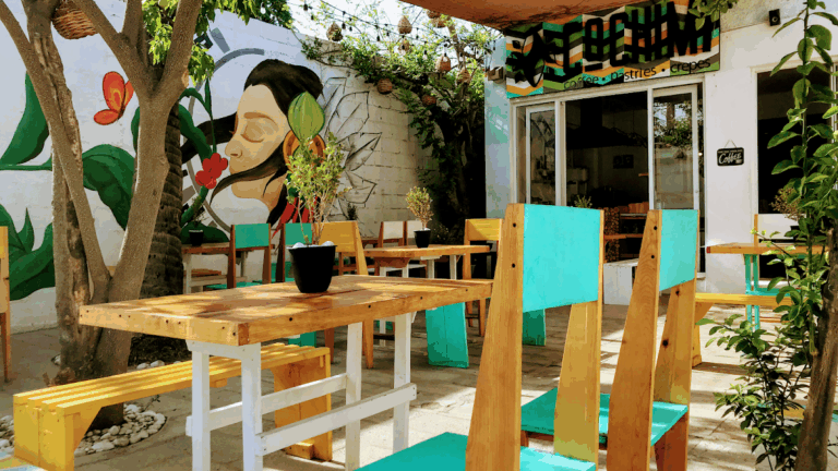 13119 cafeteria cochimi 768x432