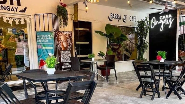 13175 casa ongay 768x433